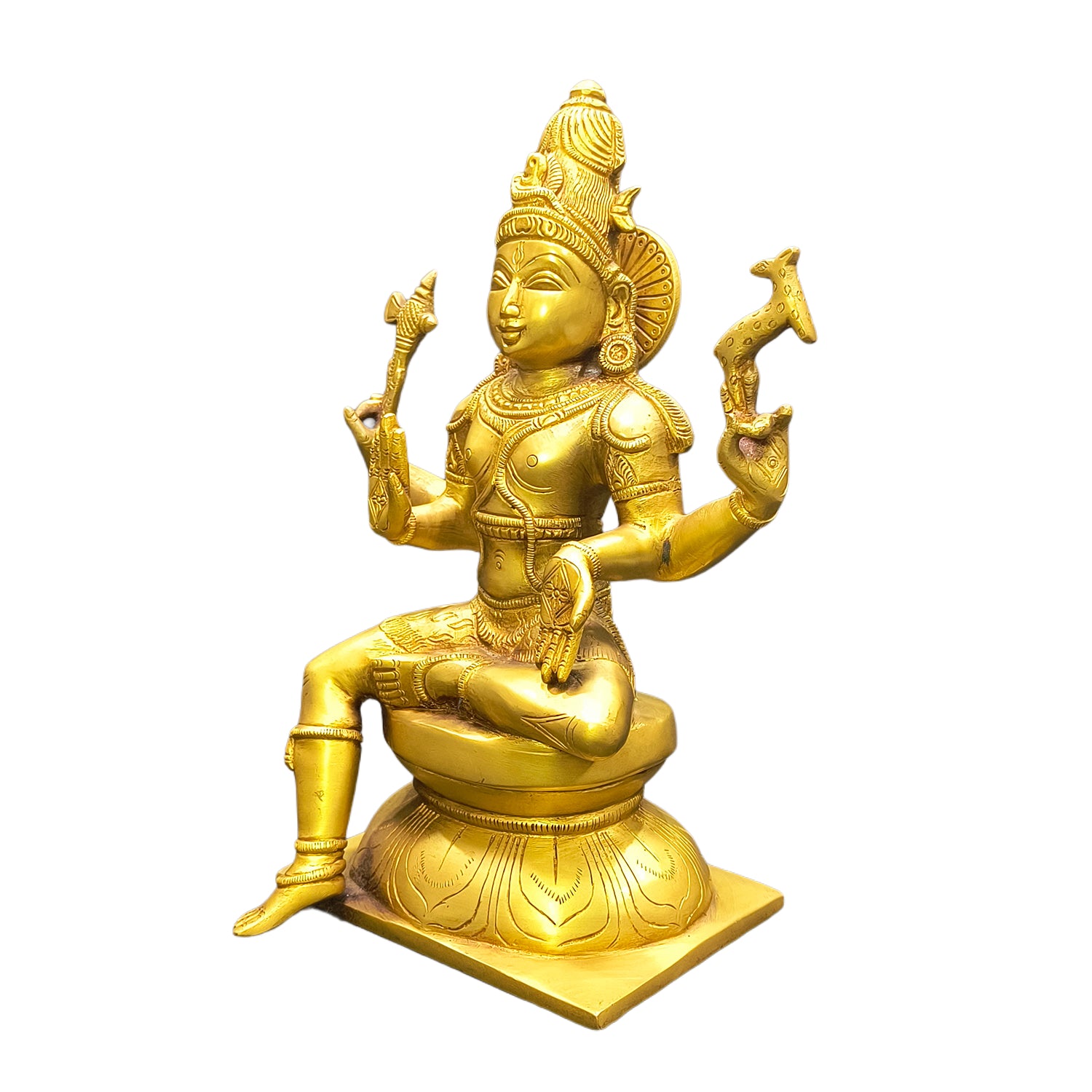 Siva Sitting (Pasupathi Nathan)