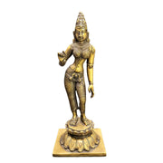 Parvathi Standing
