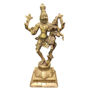 Lakshmi Narasimha Standing