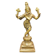 Krishna with Four Hand