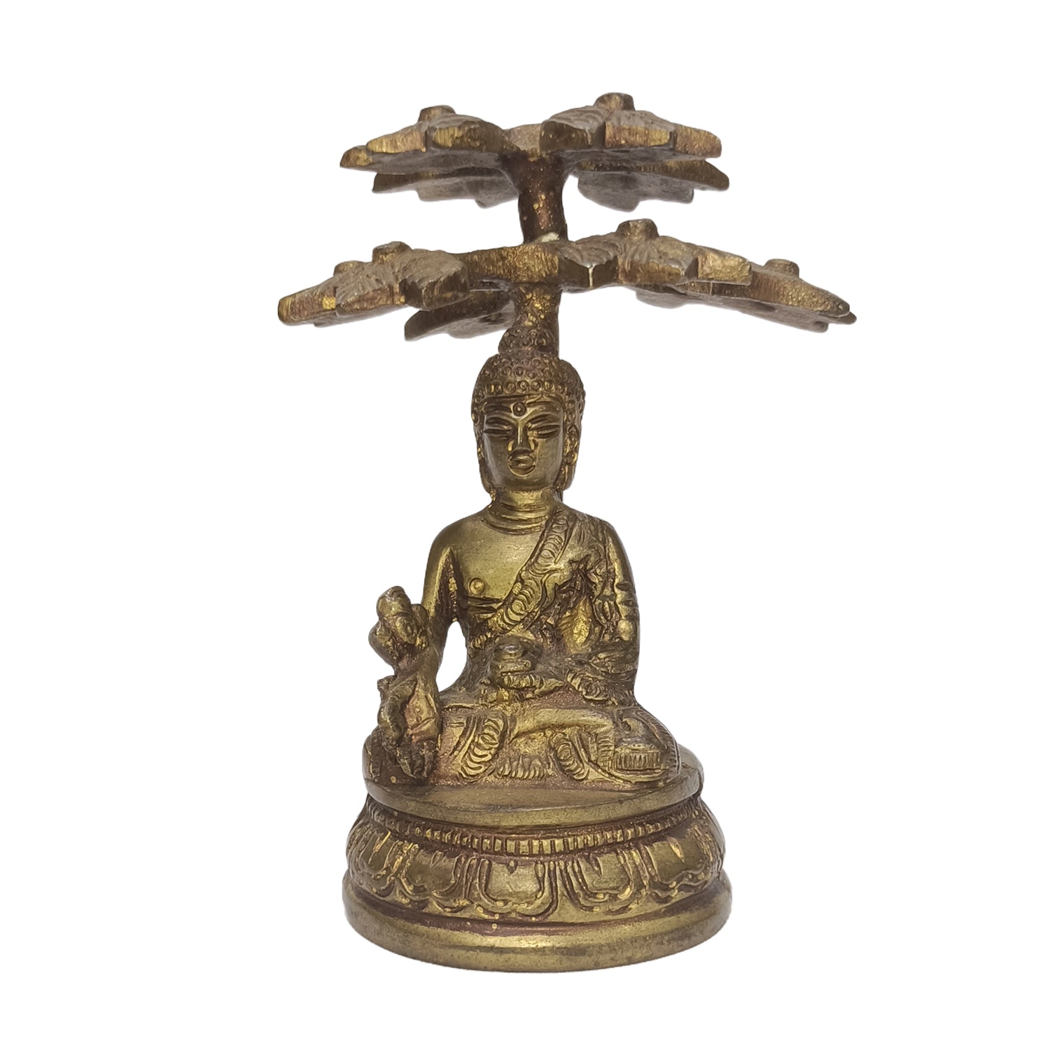 Buddha Sitting Under Tree