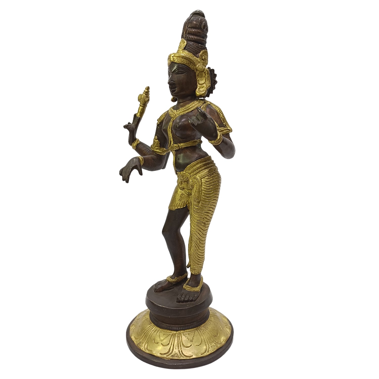 Arthanareeswarar (Double Colour)