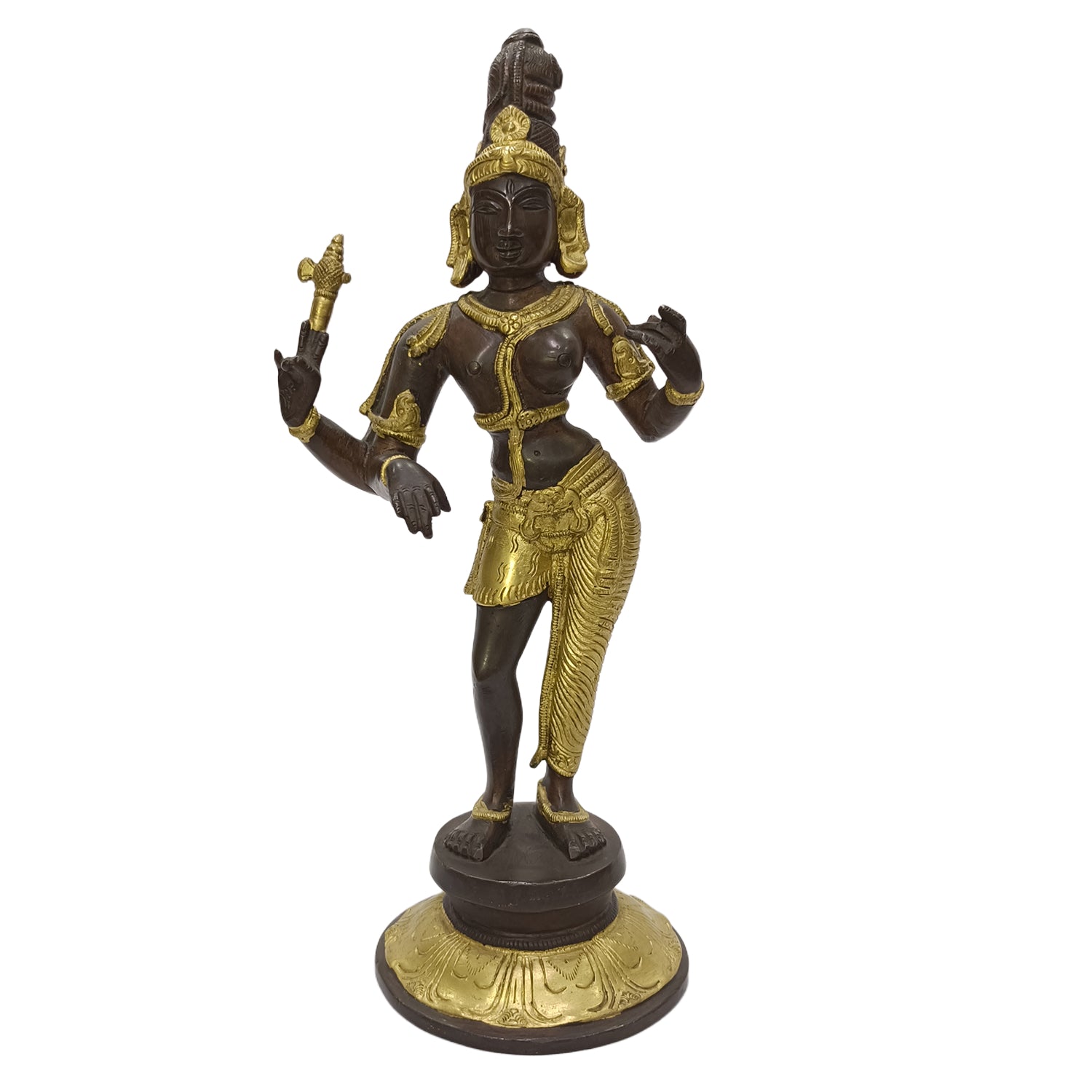 Arthanareeswarar (Double Colour)