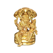 Lakshmi Narashimmar