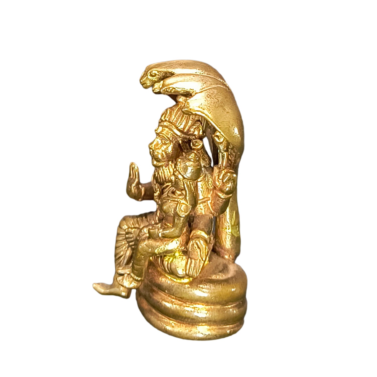 Lakshmi Narashimmar